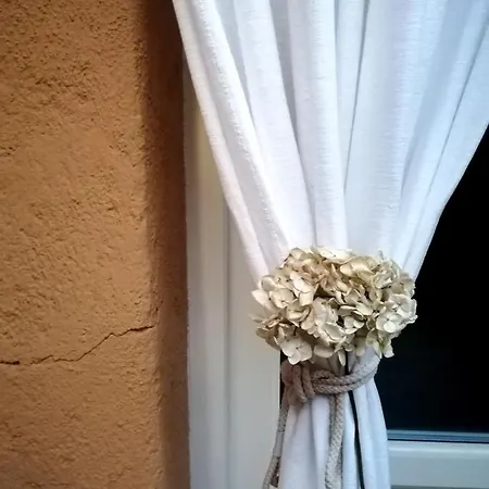 Bed & Breakfast Alloggio Borgo Trento *
